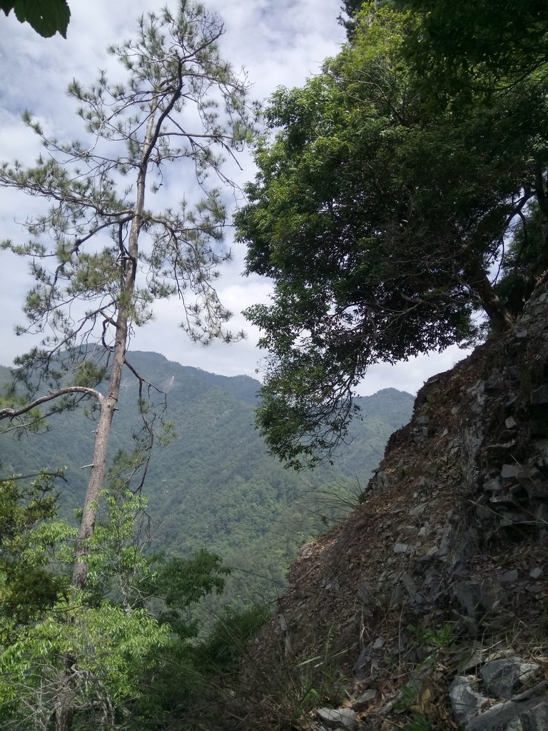 DSC_6464.JPG - 谷關七雄之  波津加山