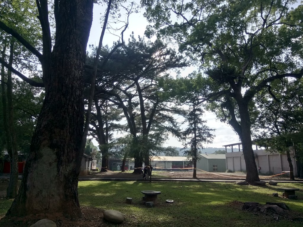 DSC_6658.JPG - 新社  大南八幡神社遺跡