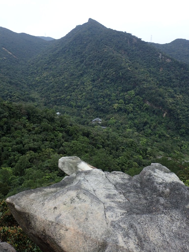 P3160145.JPG - 汐止  金面山(金明山)  稜線步道