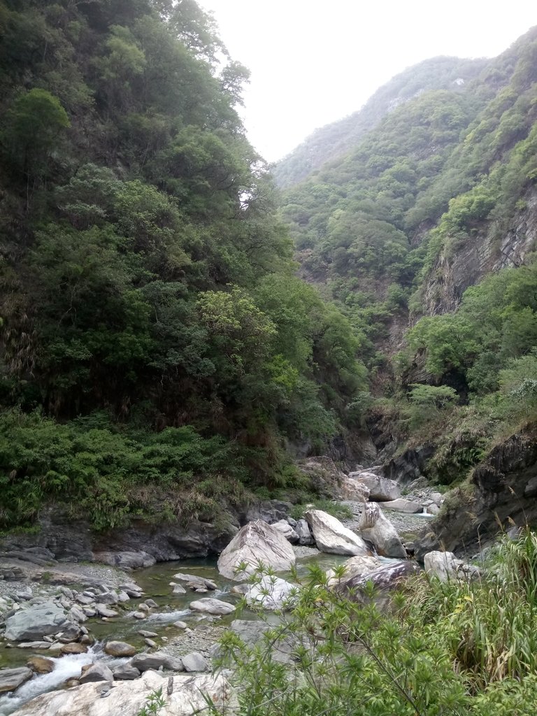 DSC_0531.JPG - 花蓮  天祥  白楊步道