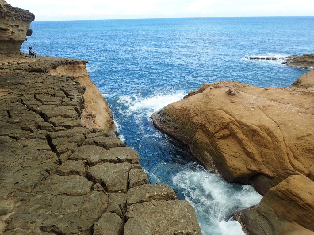 P8317663.JPG - 瑞芳  金石園  海岸岩石之美