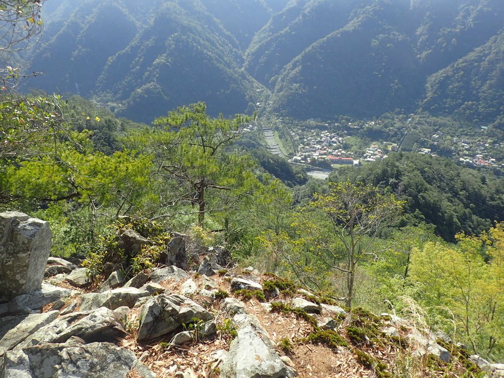 P3167172.JPG - 谷關  東卯山東南稜