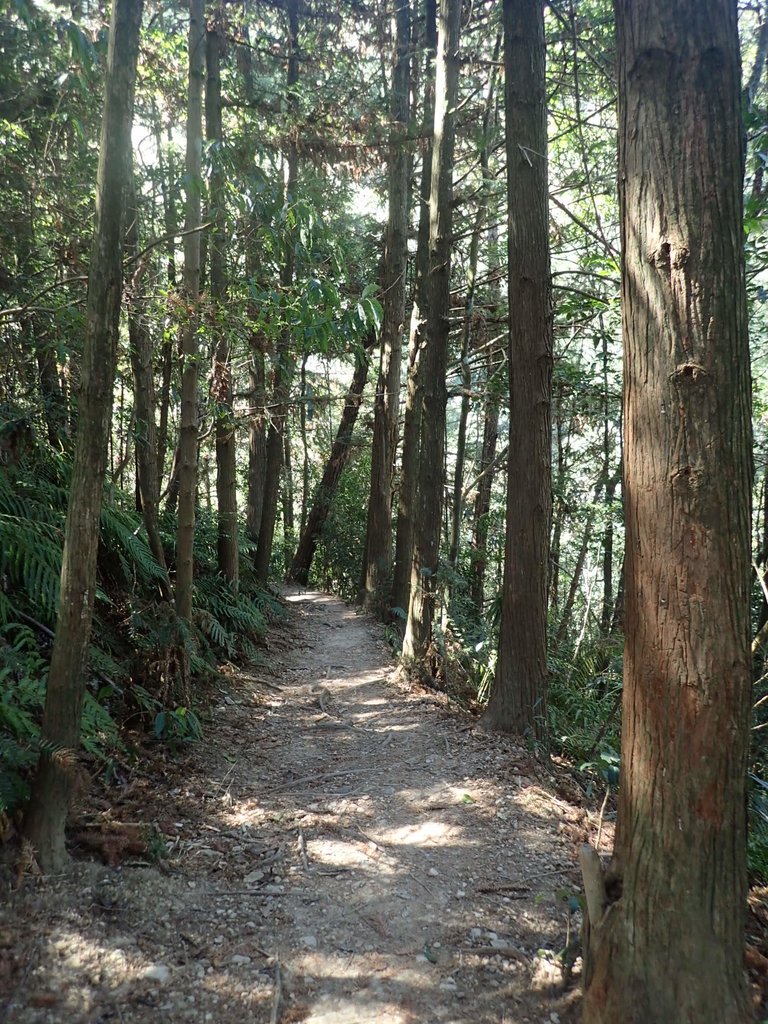 P2275971.JPG - 谷關七雄之  唐麻丹山