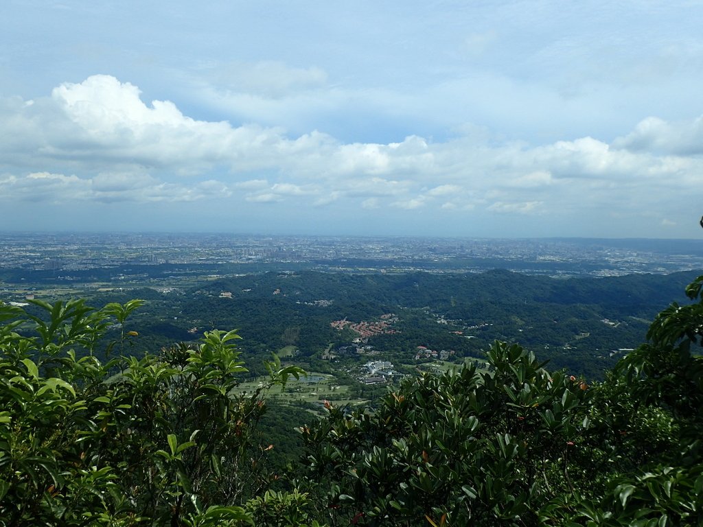 P7025025.JPG - 大溪  金面山登山步道