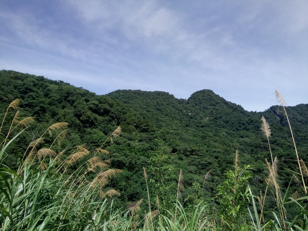 DSC_2582.JPG - 國姓  大橫屏山