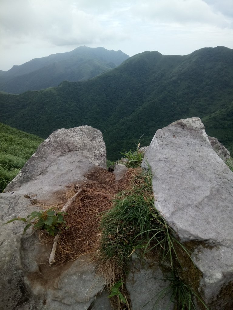 DSC_4528.JPG - 小觀音山  西峰登山步道