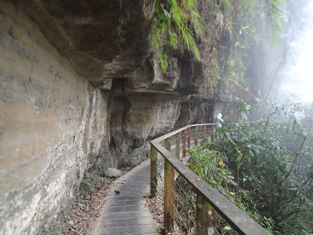 P1086444.JPG - 梅山  瑞峰村  竹坑溪步道