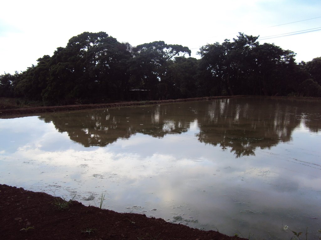 DSC09126.JPG - 石門  水塘映像