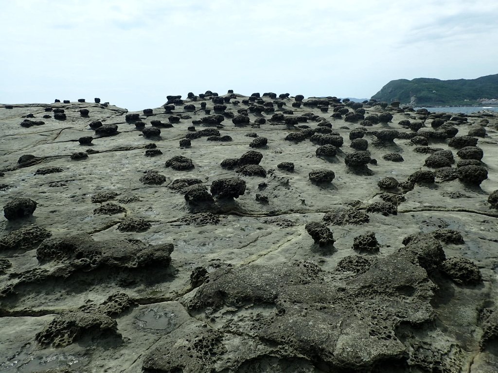 鼻頭角海岸之美  (06)