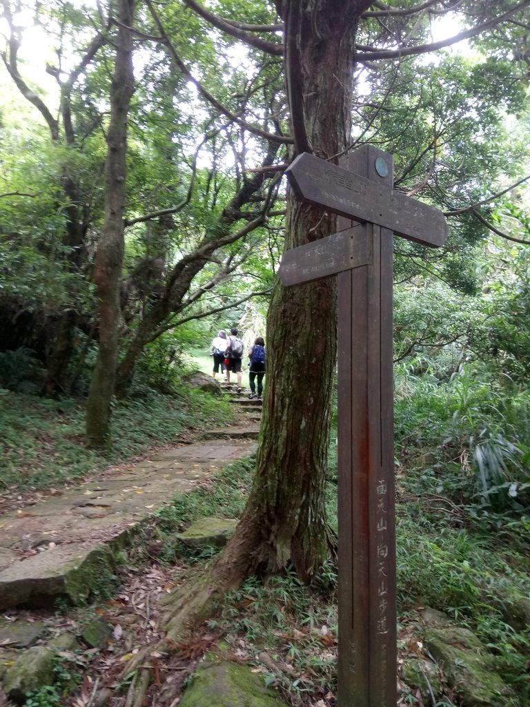 DSC_6925.JPG - 北投  面天山  向天湖步道