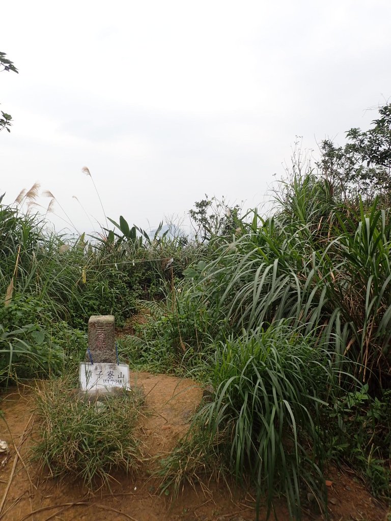 P1233691.JPG - 基隆  槓子寮山