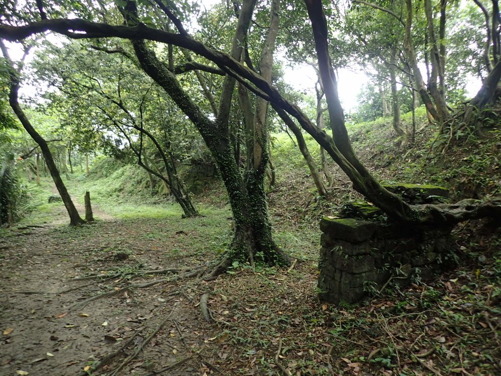 P4143552.JPG - 基隆  五坑山  總督嶺步道