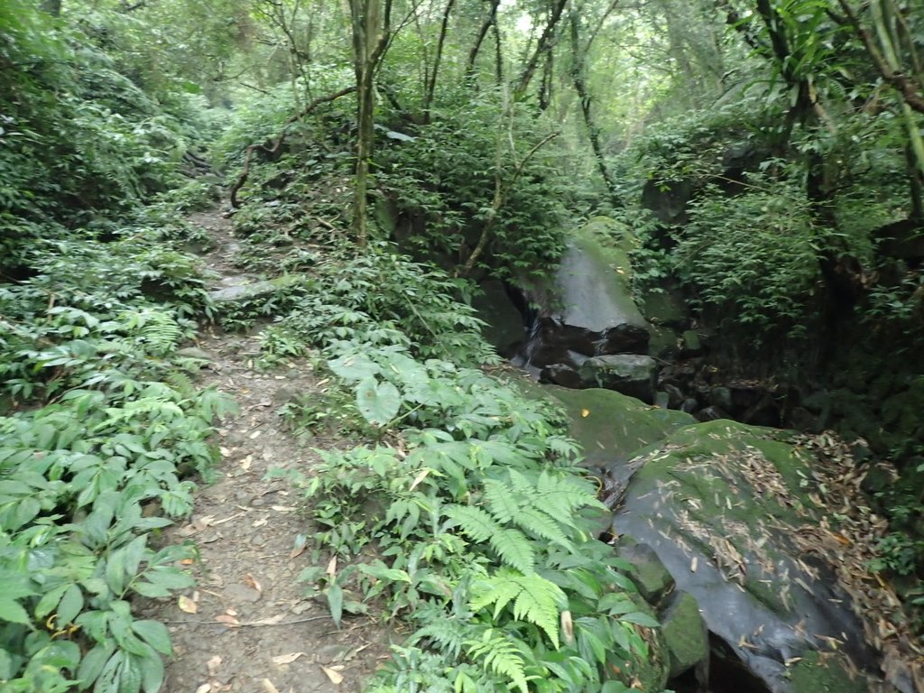 P3039123.JPG - 三峽  白雞山登山步道