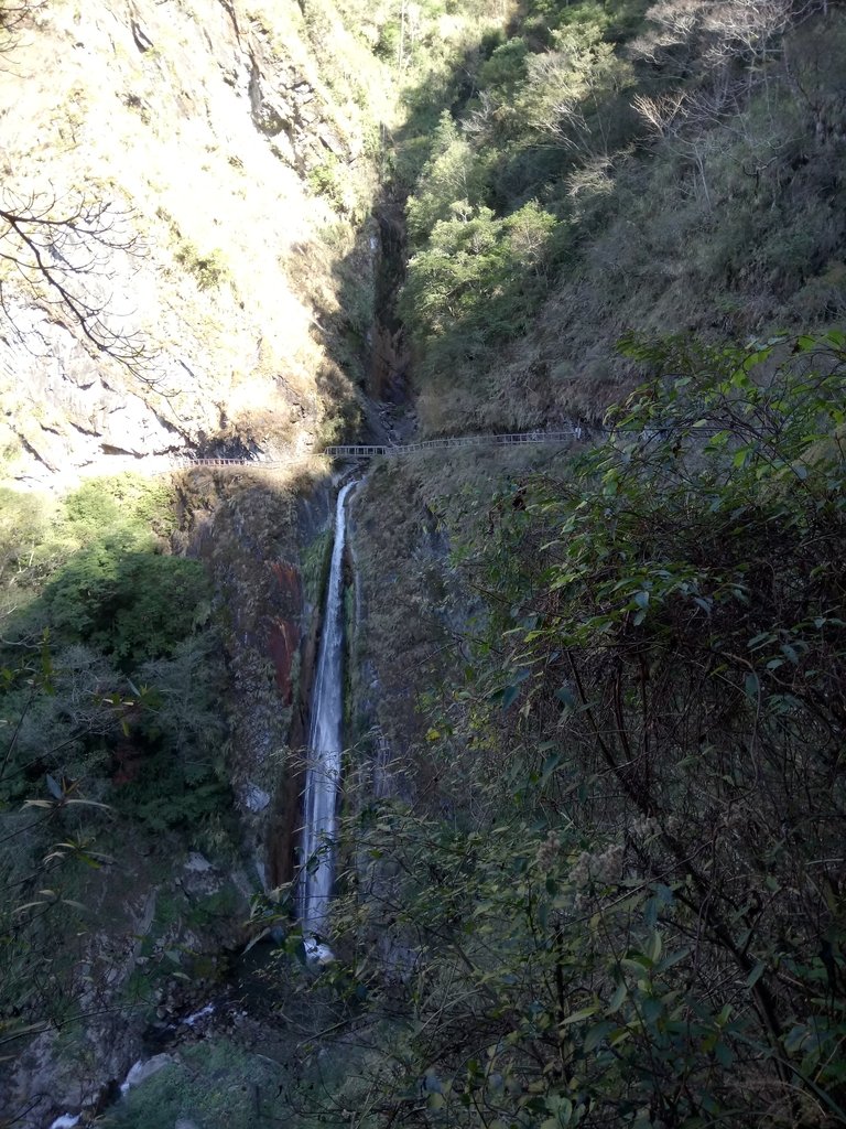 DSC_9091.JPG - 東埔  雲龍瀑布