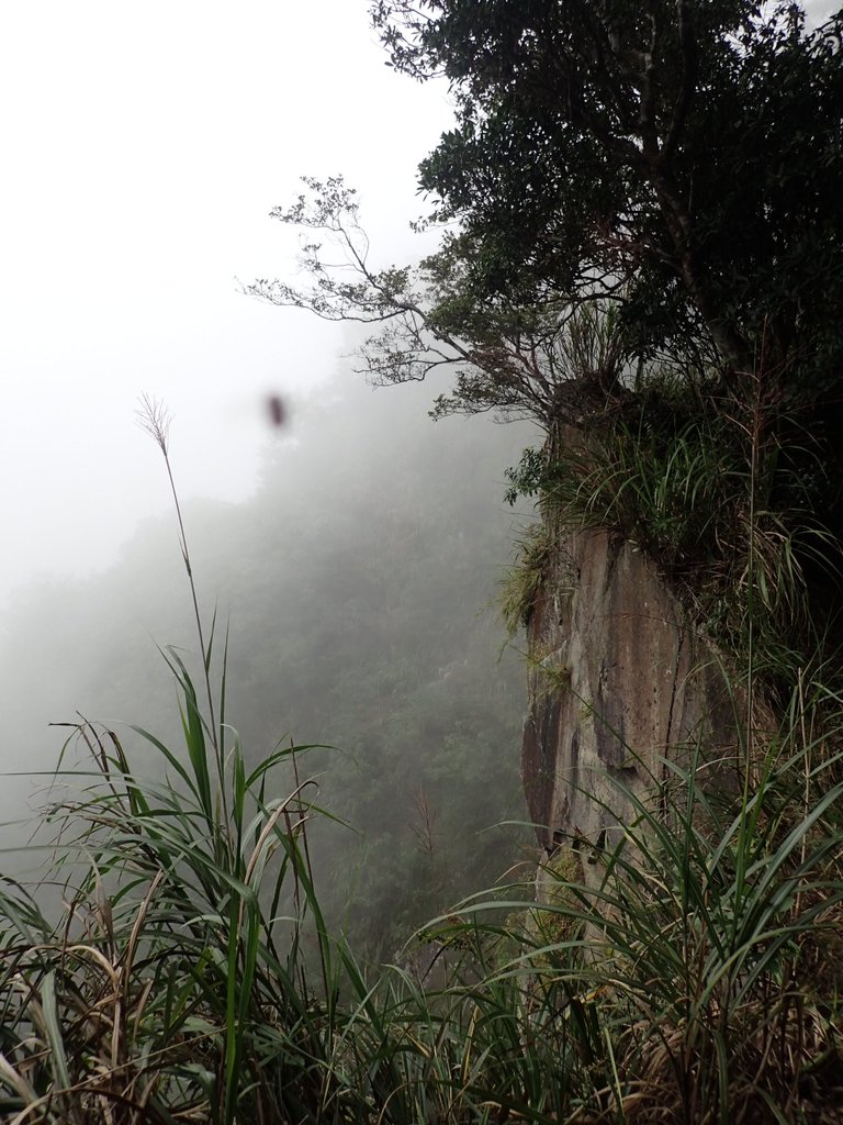 PA231710.JPG - 石壁山  嘉南雲峰步道