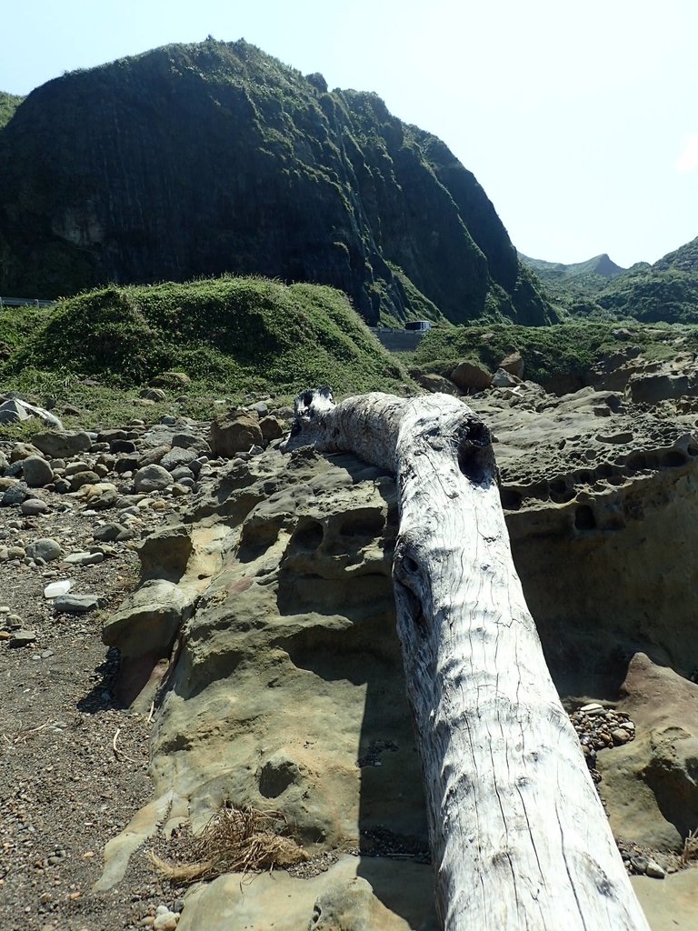 PA104924.JPG - 東北角海岸岩石之美  (01)