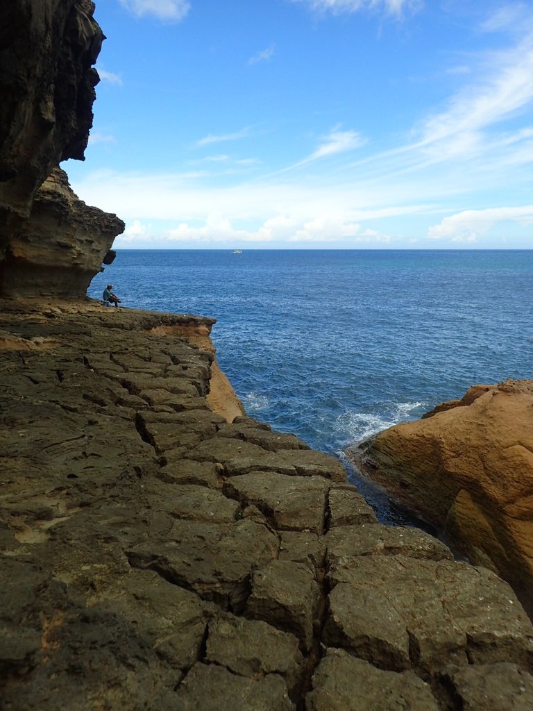 P8317668.JPG - 瑞芳  金石園  海岸岩石之美