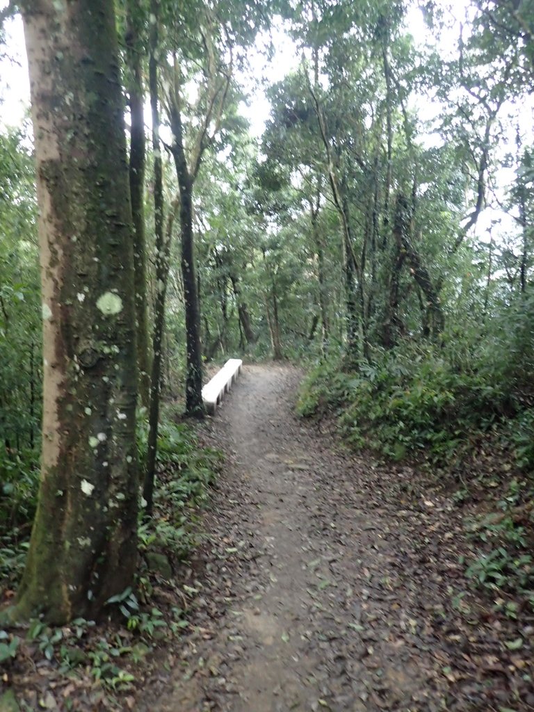 P1294564.JPG - 大湖  關刀山步道  (聖關段)