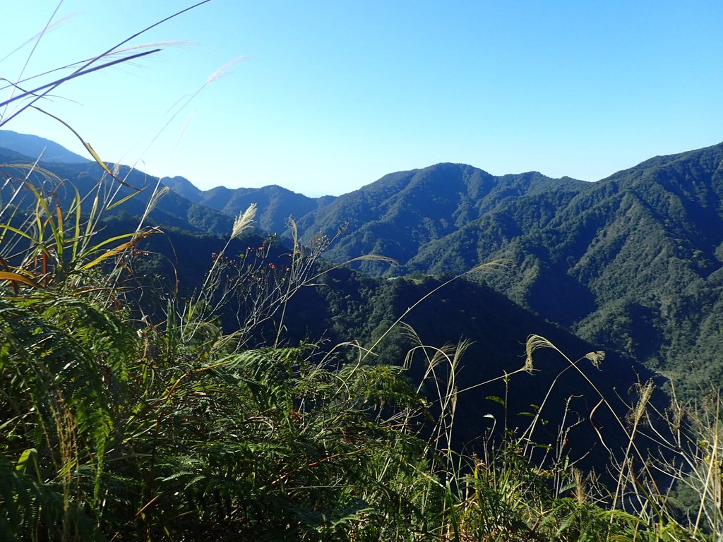 P2275876.JPG - 谷關七雄之  唐麻丹山