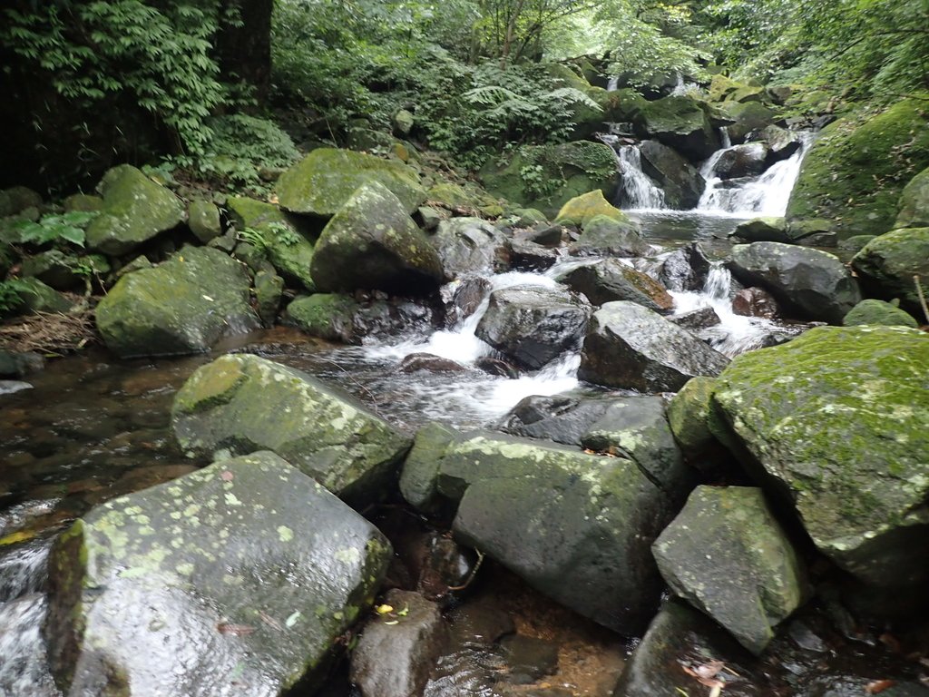 P6114295.JPG - 三芝  大屯溪古道