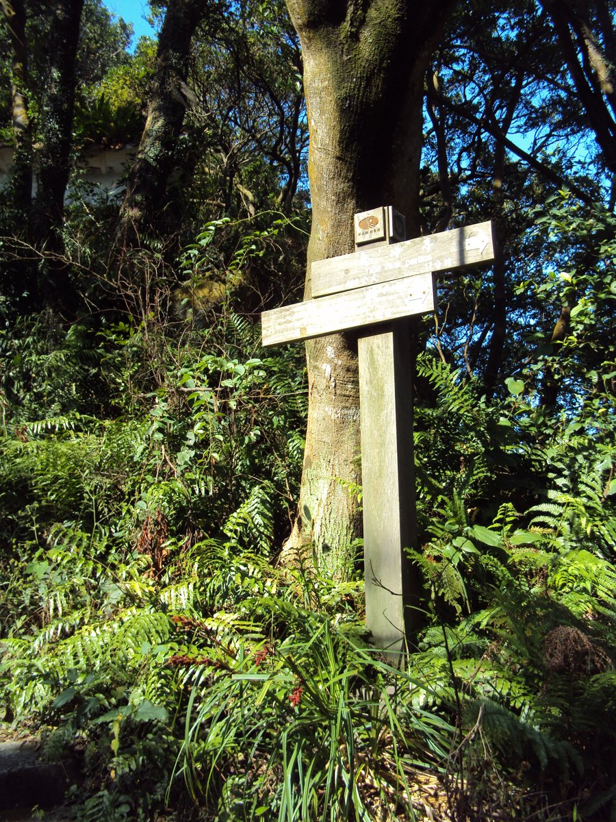 DSC01956.JPG - 三峽  鳶山登山步道