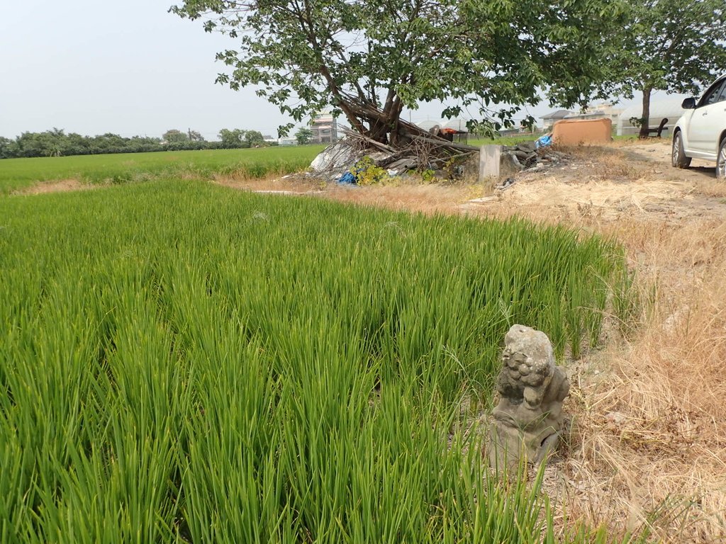 P4151655.JPG - 嘉義海口寮  太學生  蔡嘉謨墓