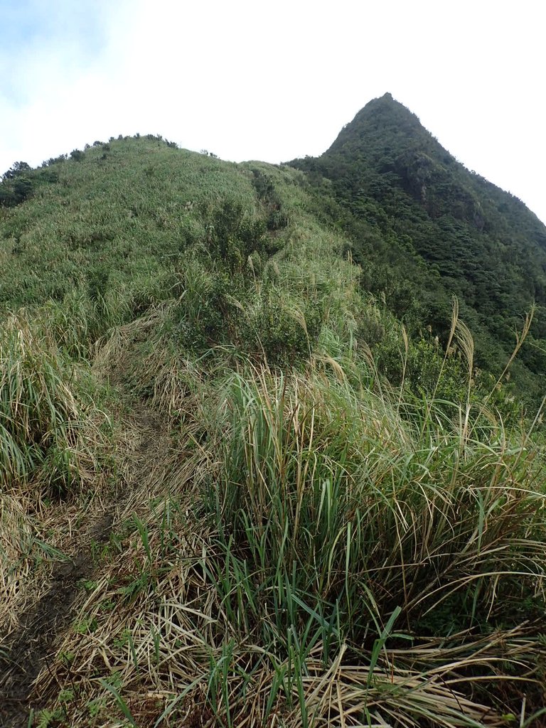 P1102294.JPG - 樹梅礦場  燦光寮山