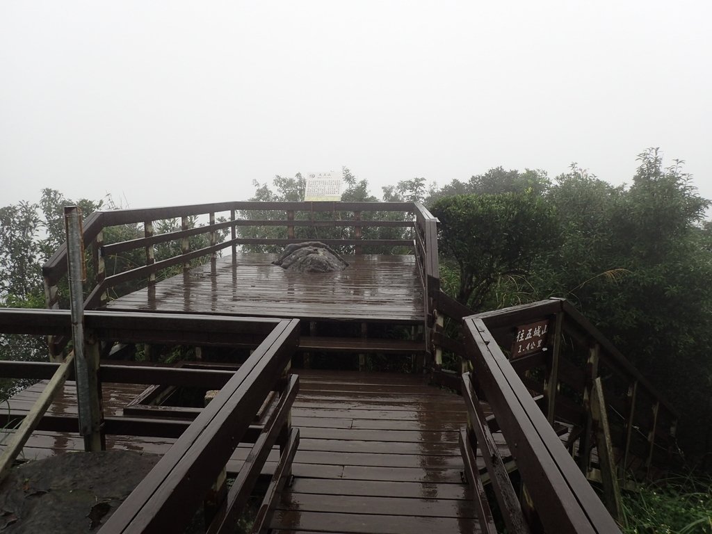 P1062063.JPG - 土城  天上山  登山步道