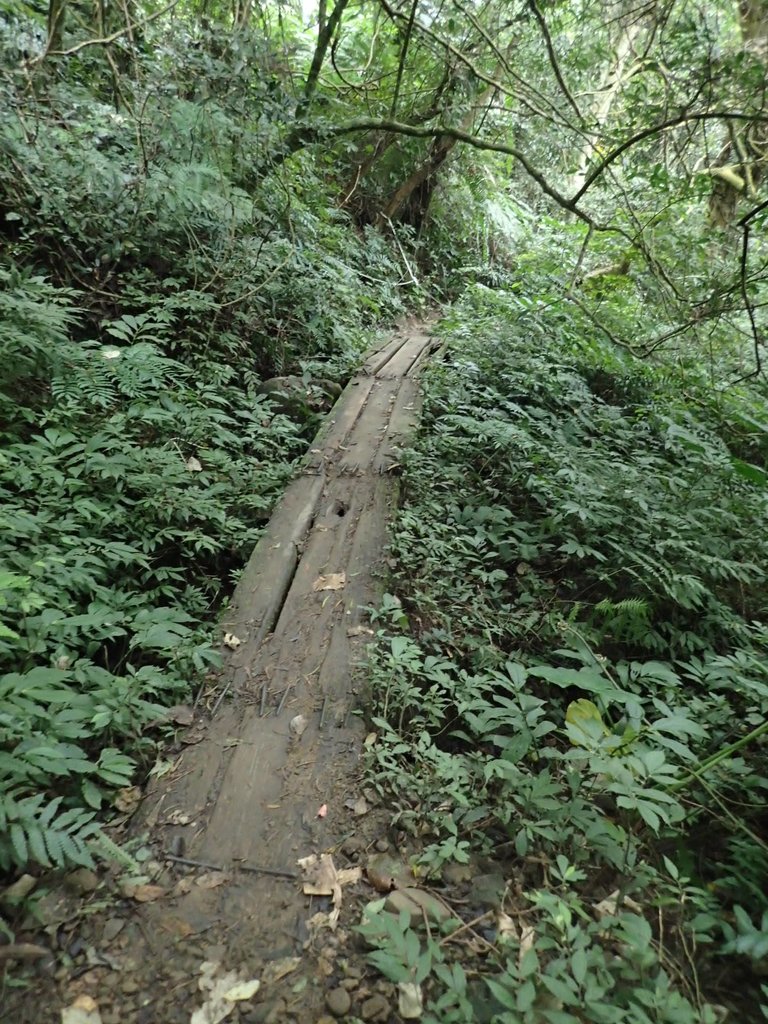 P2107546.JPG - 大溪  溪洲山登山步道