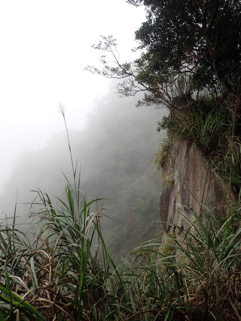 PA231711.JPG - 石壁山  嘉南雲峰步道