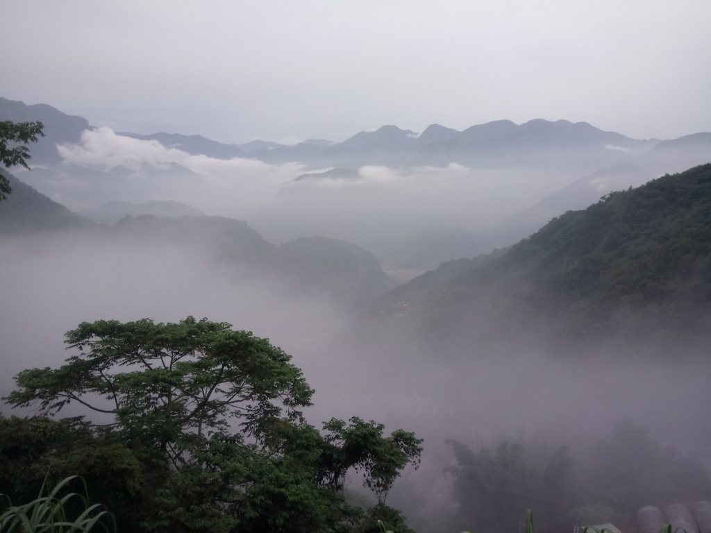 DSC_1386.JPG - 石壁途中之   茶山雲雨