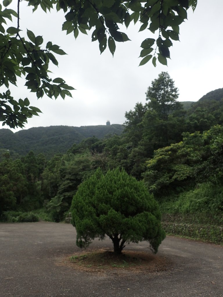 P7203899.JPG - 瑞芳  五分山登山步道