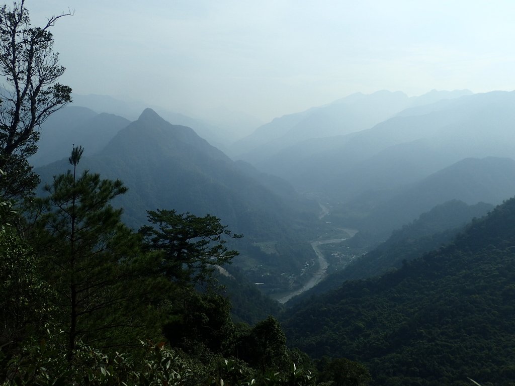 P3217598.JPG - 谷關七雄  白毛山  02