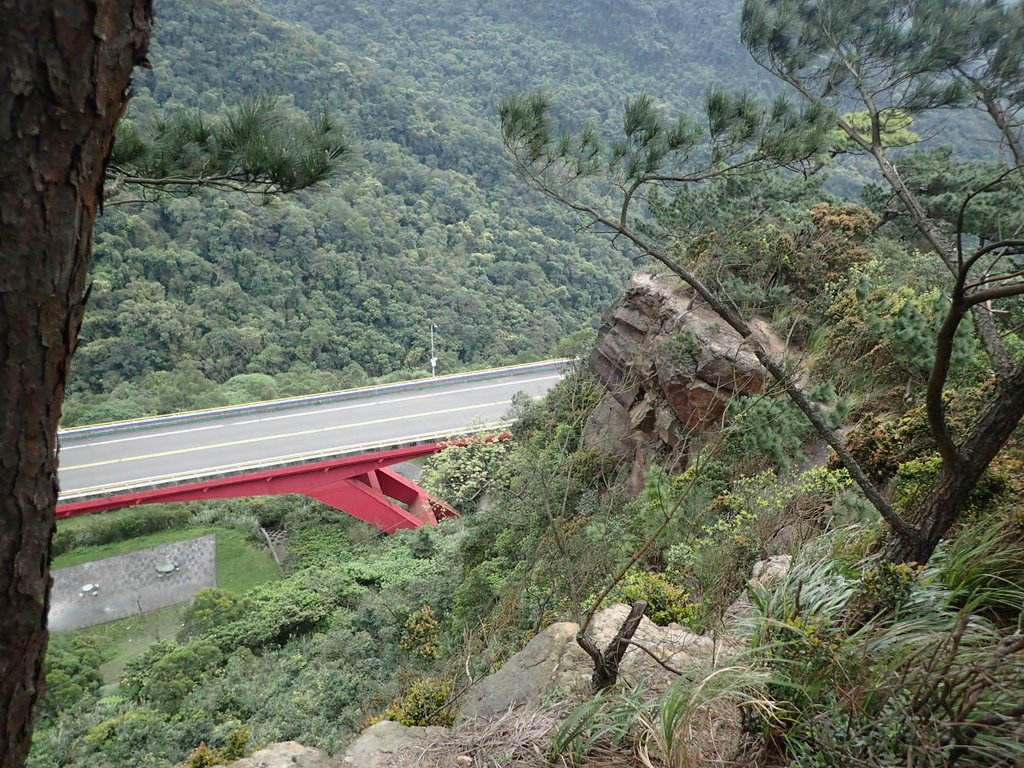 P3160172.JPG - 汐止  金面山(金明山)  稜線步道