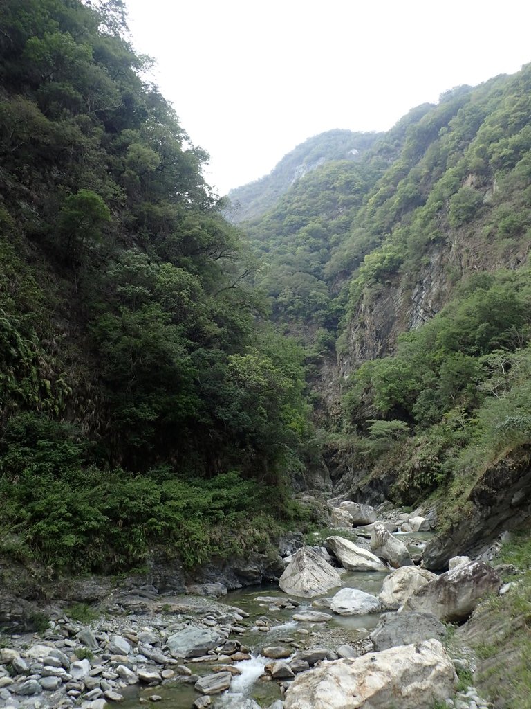 P9077761.JPG - 花蓮  天祥  白楊步道