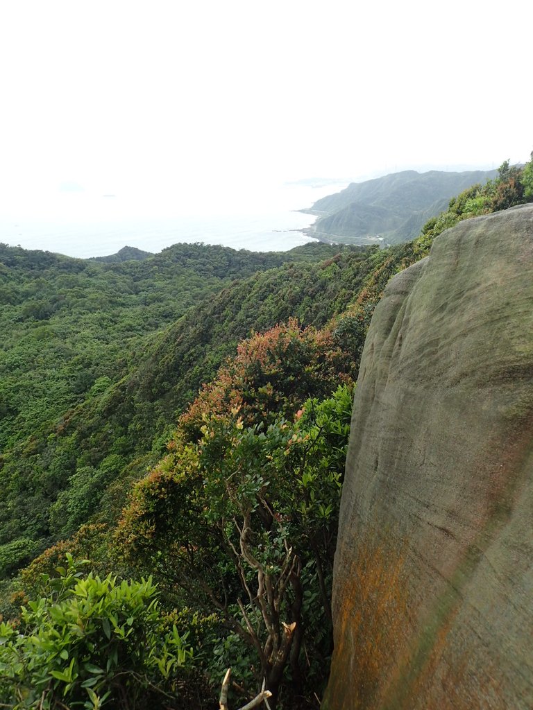 P3308225.JPG - 萬里  瑪鋉山  (望洋崖)