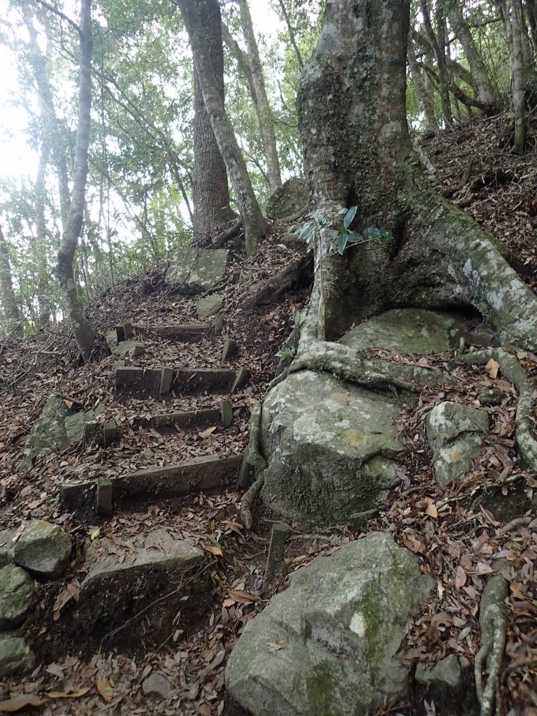 P3167321.JPG - 谷關七雄之  屋我尾山