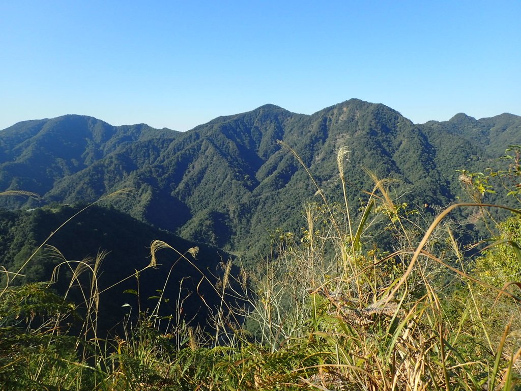 P2275877.JPG - 谷關七雄之  唐麻丹山