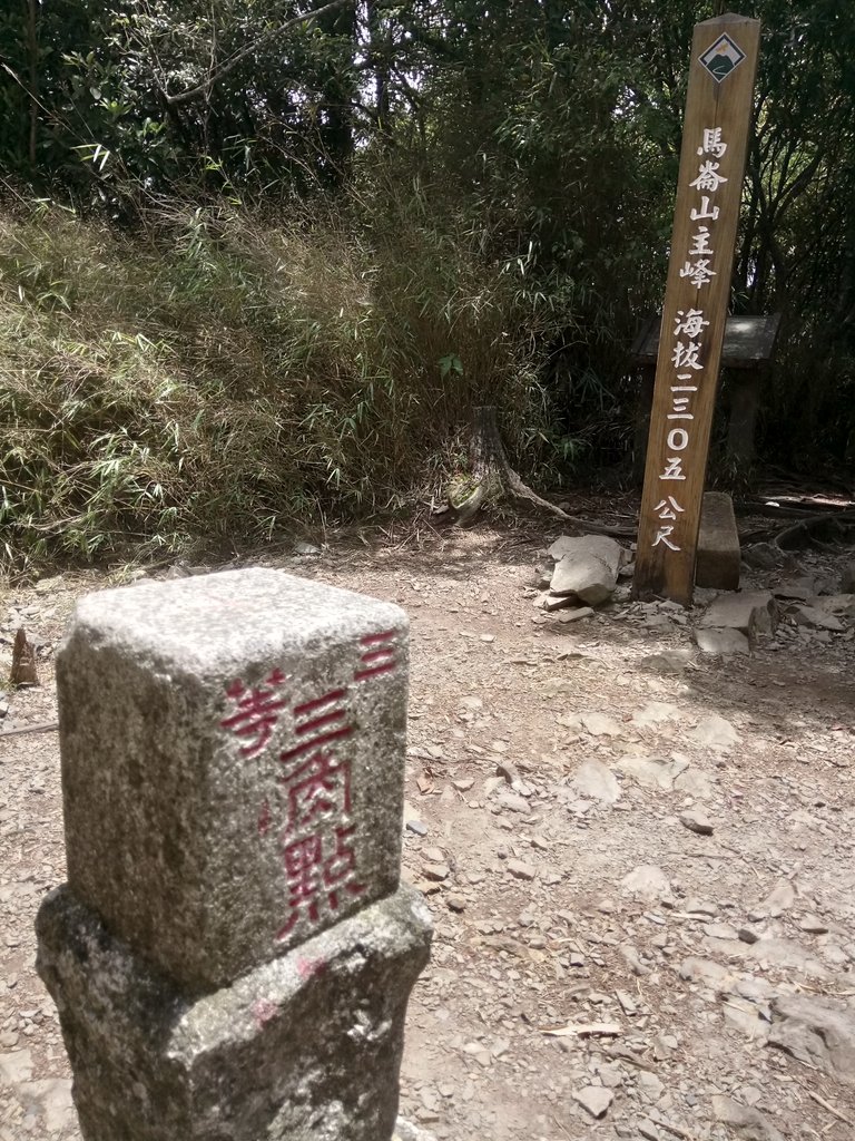 DSC_9970.JPG - 谷關七雄之  馬崙山  (下)