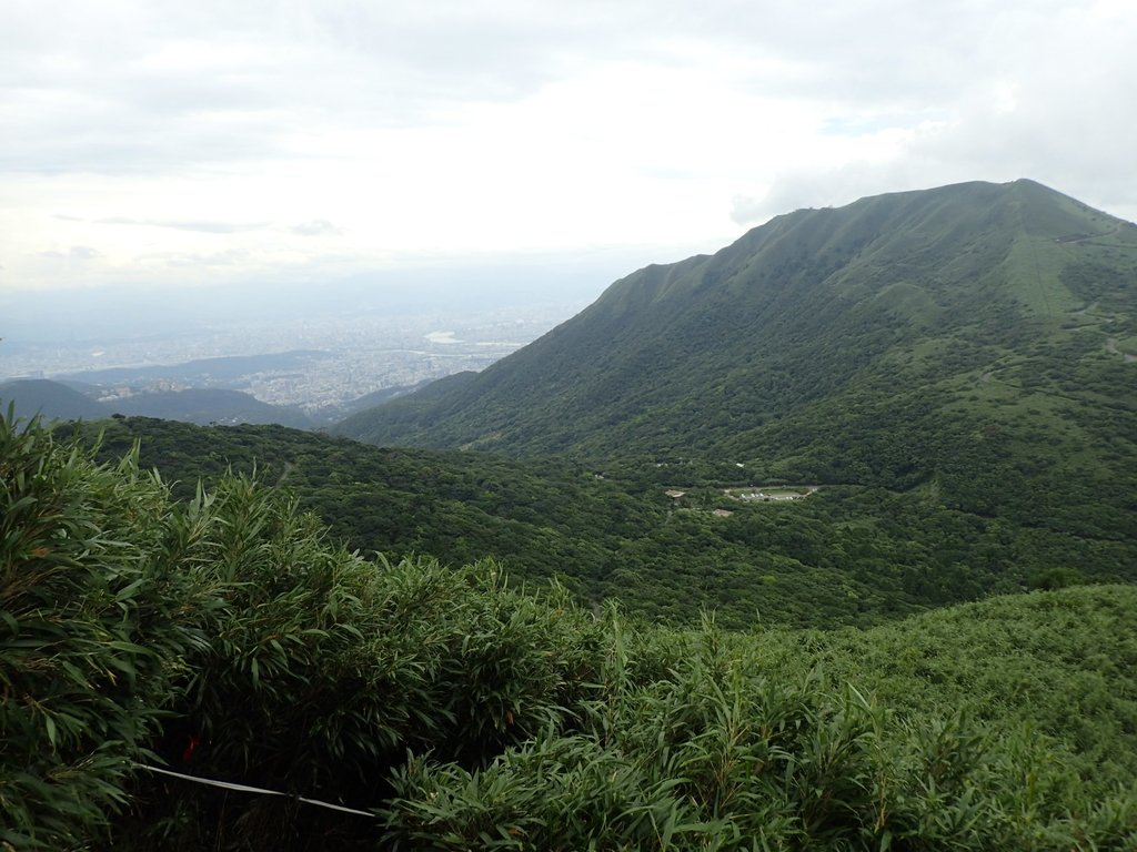 P7165506.JPG - 小觀音山  西峰登山步道