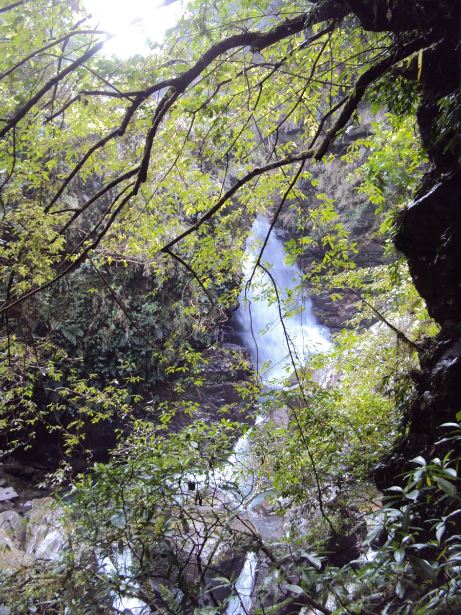 DSC04465.JPG - 三峽  滿月圓遊樂區