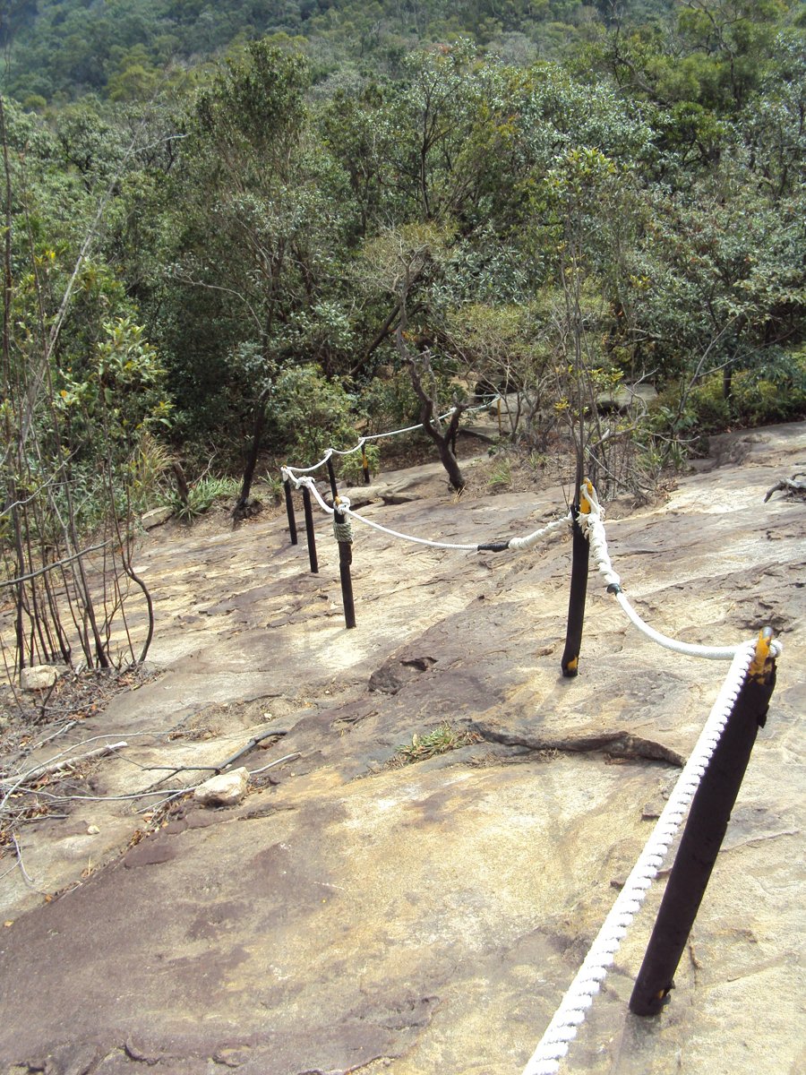 DSC06737.JPG - 內湖  金面山步道