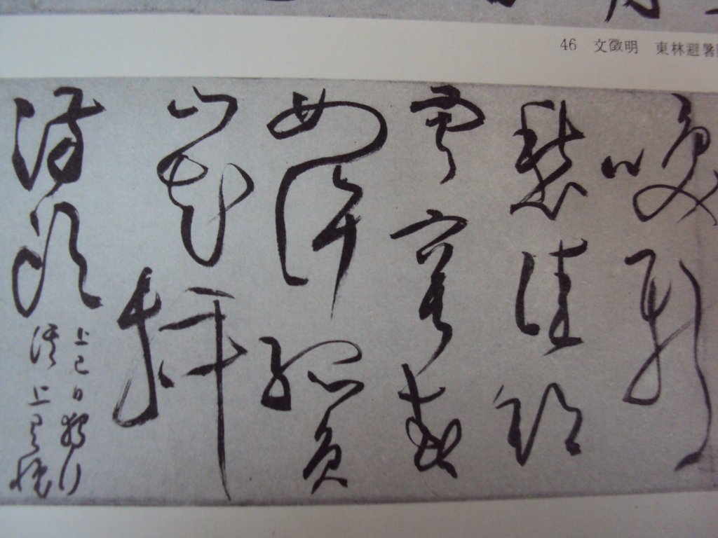 DSC00190.JPG - 文徵明  草書作品