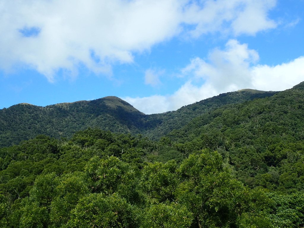 PB247162.JPG - 北投  中正山登山步道 01