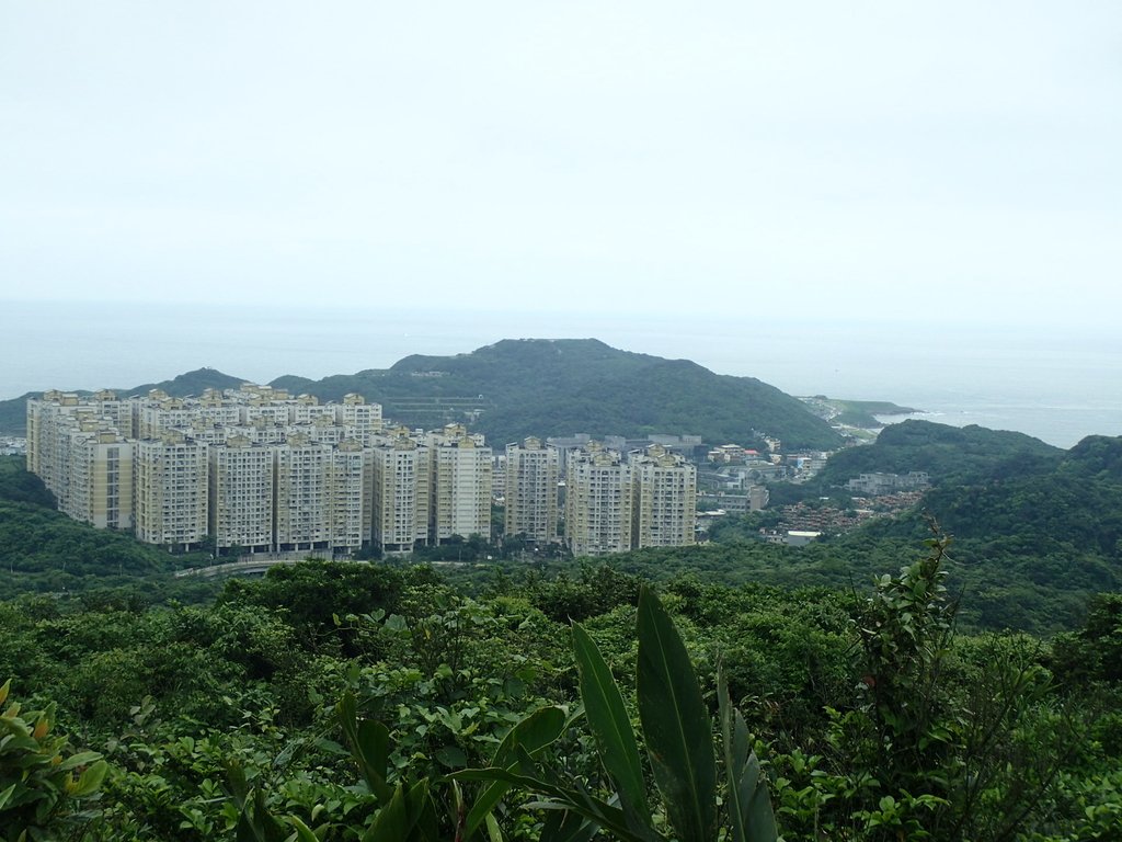 P4143580.JPG - 基隆  五坑山  總督嶺步道