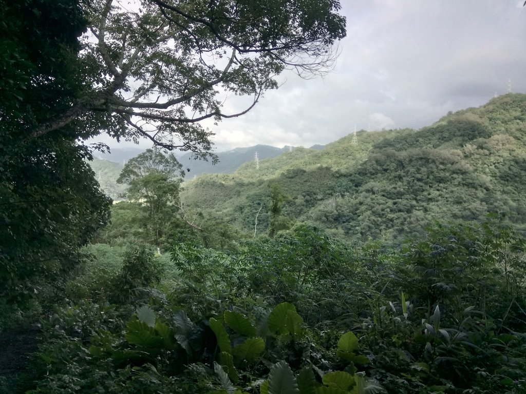 DSC_9651.JPG - 公館  出礦坑登山步道