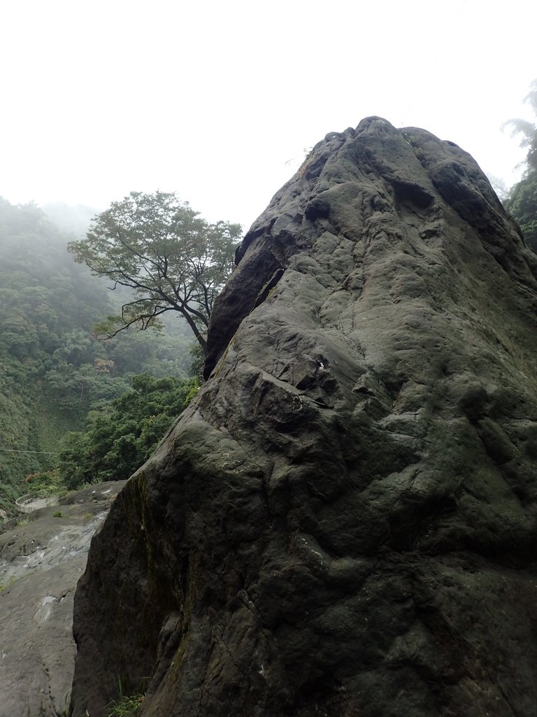 PA231594.JPG - 草嶺  蓬萊瀑布步道