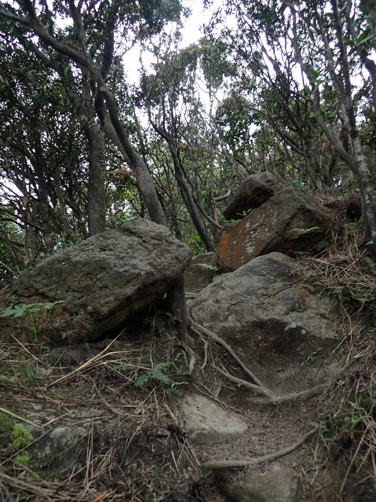 P3160051.JPG - 汐止  柯子林山  如意湖