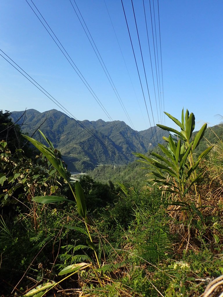 P3167135.JPG - 谷關  德芙蘭步道