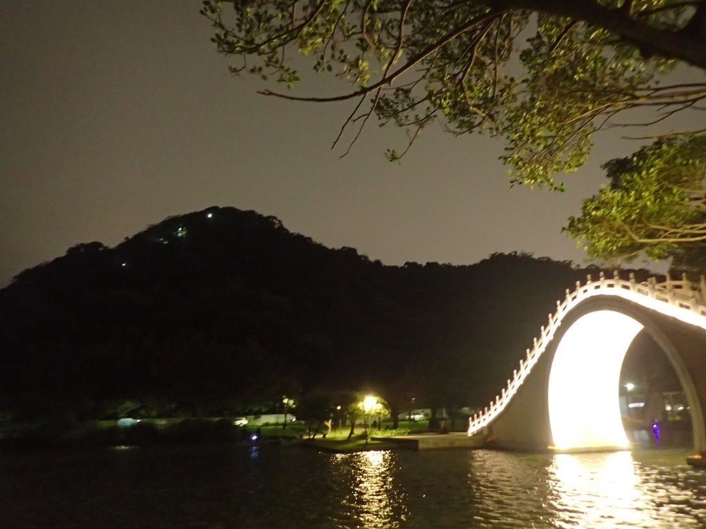 P3116994.JPG - 內湖  大湖公園之夜色